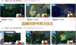 圈内人真实爆料视频播放,视频播放背后的惊人内幕